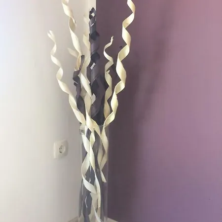 Apartma Milleo *
